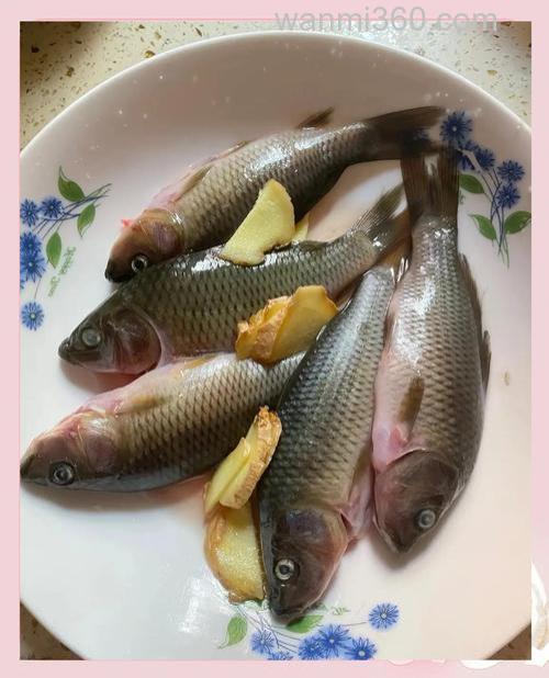 禾花鱼吃米饭吗?