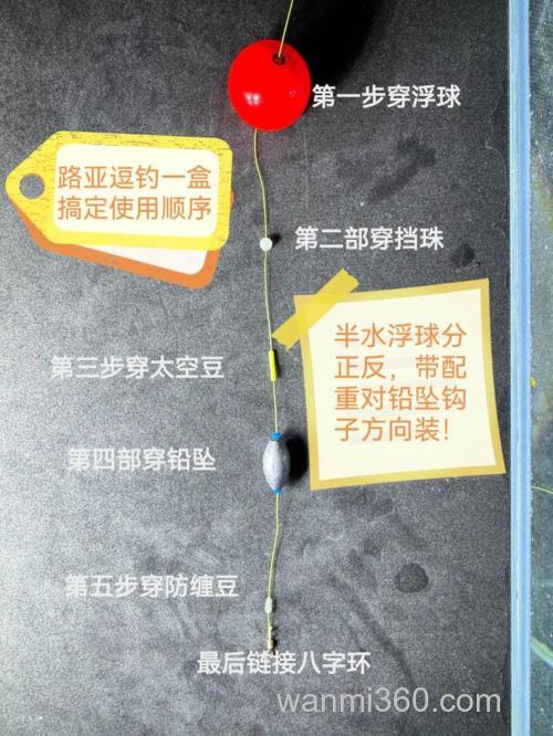 逗钓怎么钓才容易上鱼?逗钓的精髓和手法解析