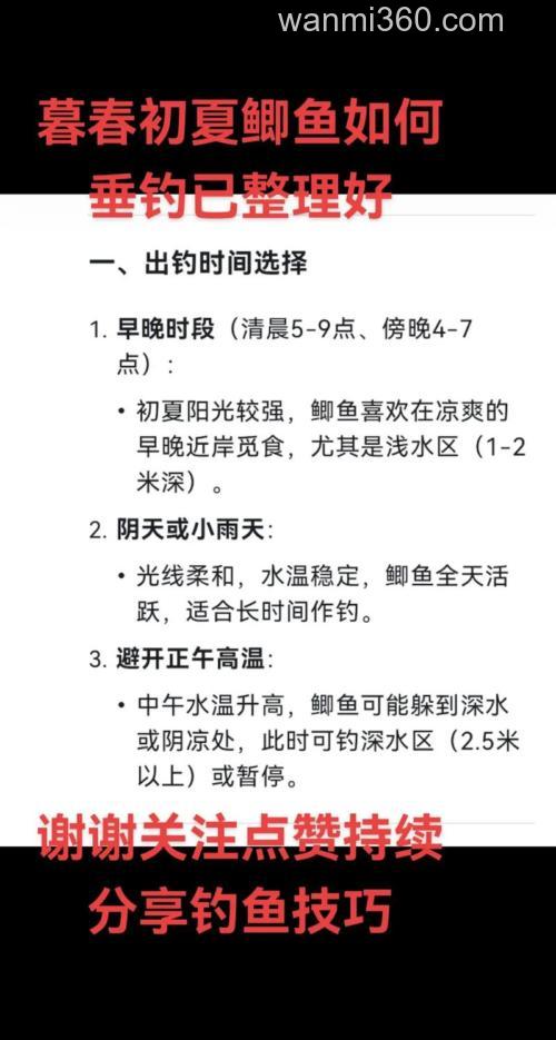 夏天钓鲫鱼的最佳时间什么时候?