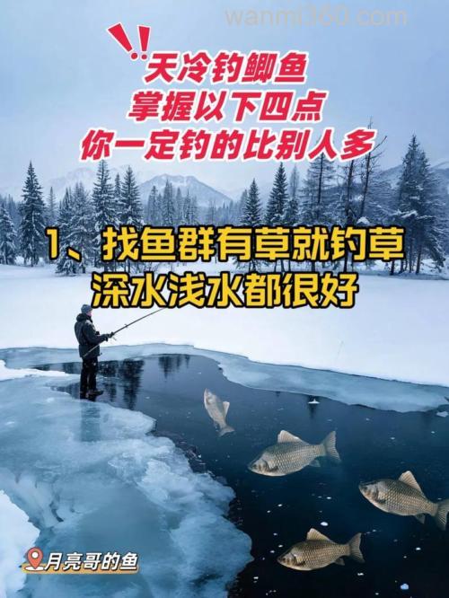 水面结冰如何钓鲫鱼