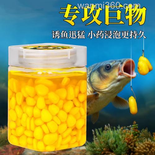 用什么钓鲤鱼最好?推荐这款香甜玉米饵料配方