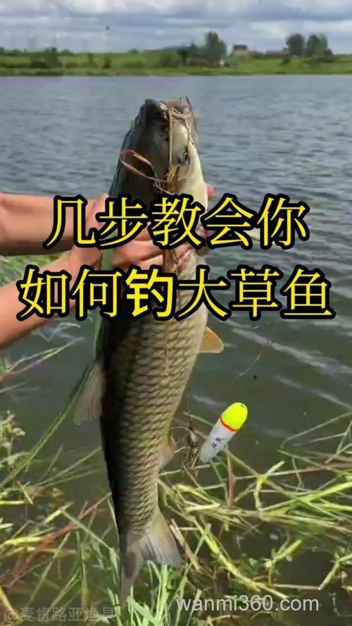 长条坑怎么钓草鱼?