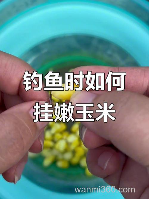 玉米粒钓鳊鱼钓半水还是钓底?