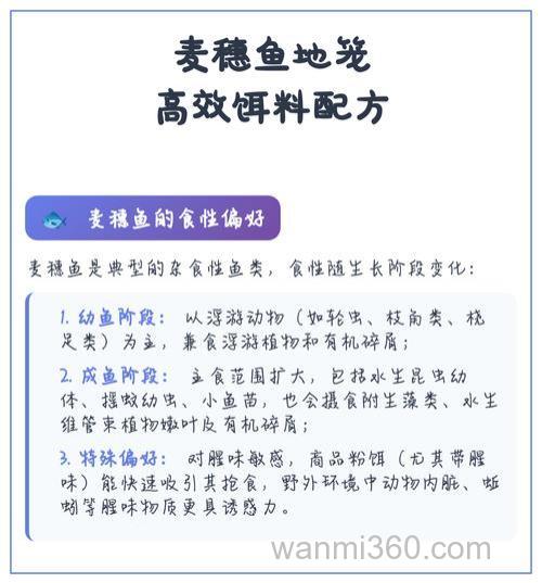 麦穗鱼饵料做法?