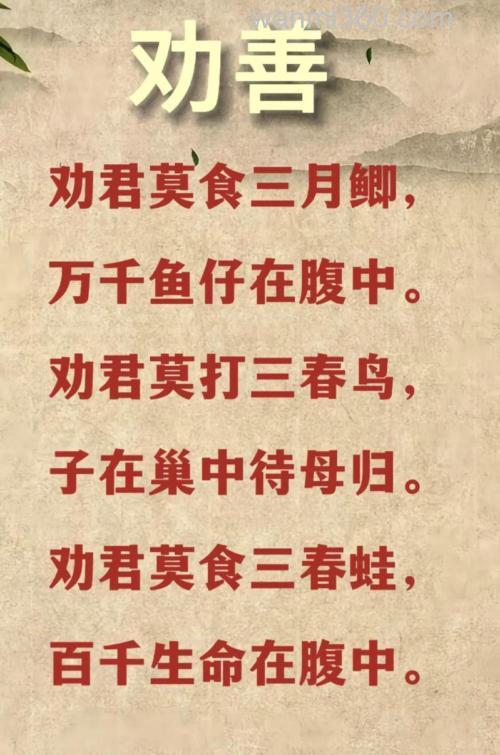 劝君莫钓三月鲫?不如钓鳜鱼试试