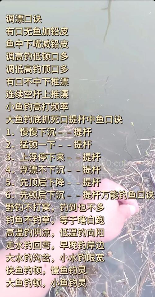 春钓鲫鱼看得见就是不开口怎么办