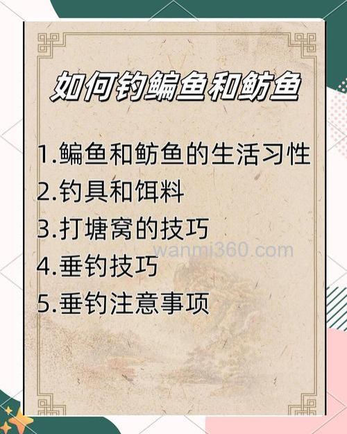鳊鱼的钓法技巧及钓位选择有哪些?