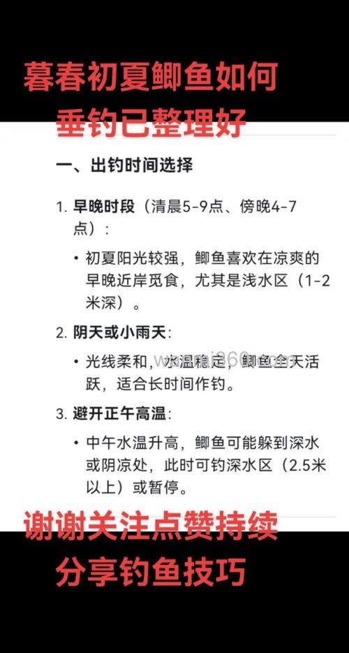 什么时候钓鲫鱼?