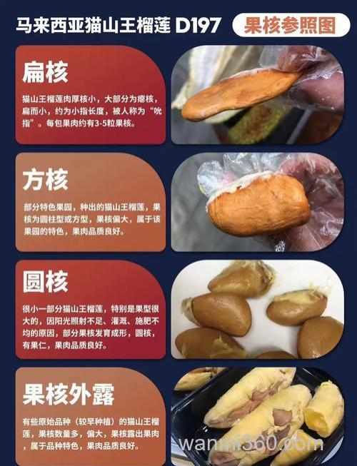 榴莲核能吃吗?