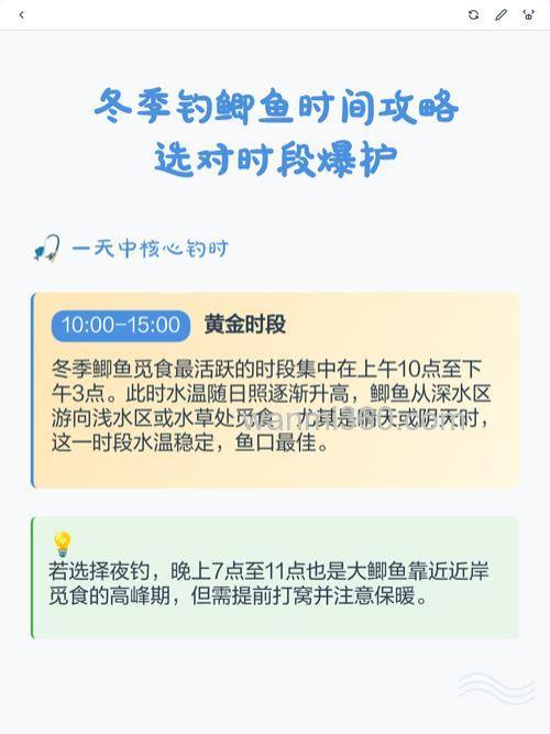 秋冬钓鲫鱼合适的时间是几点？上午10点至下午5点！