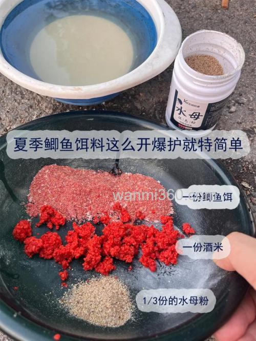 钓鲫鱼的饵料如何搭配酒米?