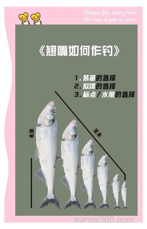 夏末秋初,野钓大翘的4方面技巧