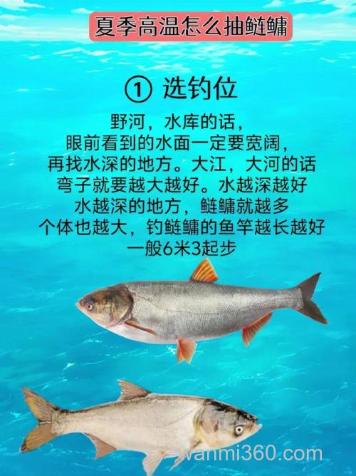 谁有钓鲢鱼的方法