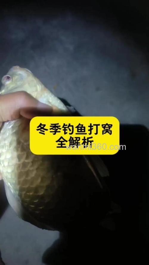 冬季野钓找鱼窝技巧和方法