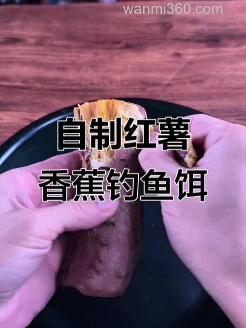 冬天用什么钓鲤鱼最好?红薯香蕉可以考虑