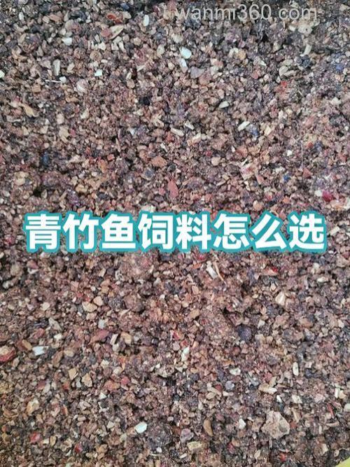 青竹鱼饵料配方?