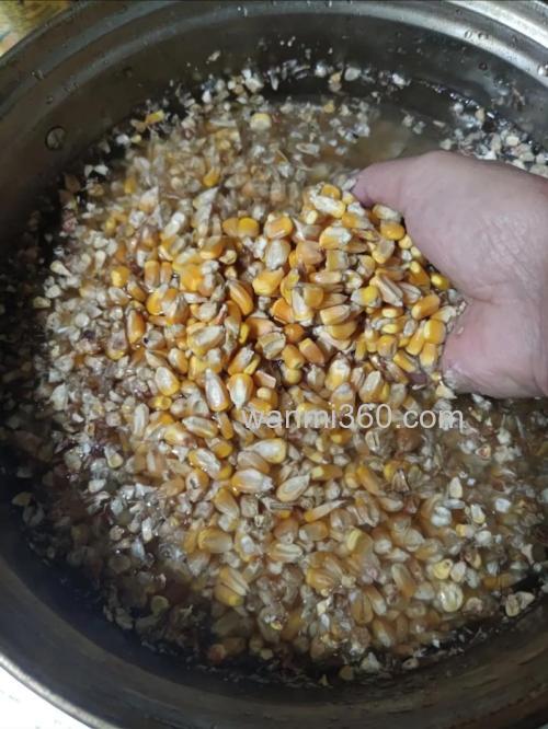钓鲤鱼玉米粒的泡制?