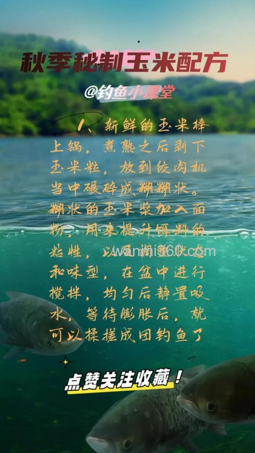 玉米钓鲫鱼饵料配制方法?