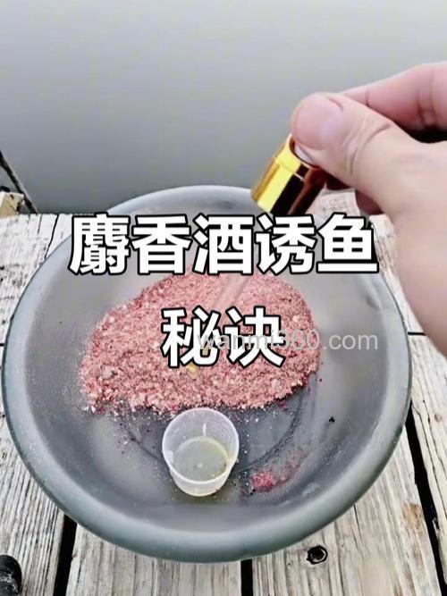 麝香钓鱼聚鱼效果好吗,麝香怎样泡酒