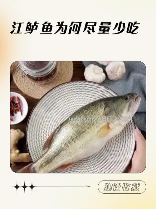 顿口不中鱼有哪些原因?
