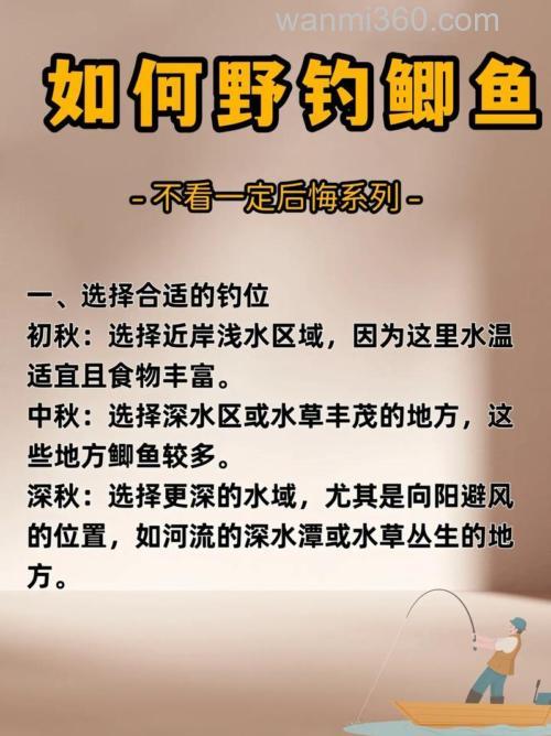 黑坑钓鲫鱼5大“爆护”技巧(强烈推荐)