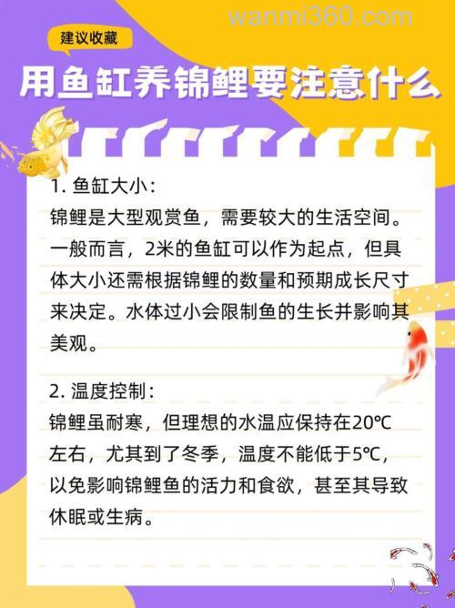 养鲤鱼的三大忌?