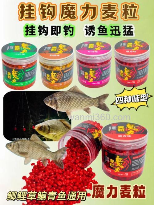 什么钓麦效果最好?