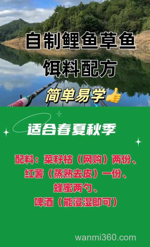 野钓鲤鱼、草鱼如何自制散饵?