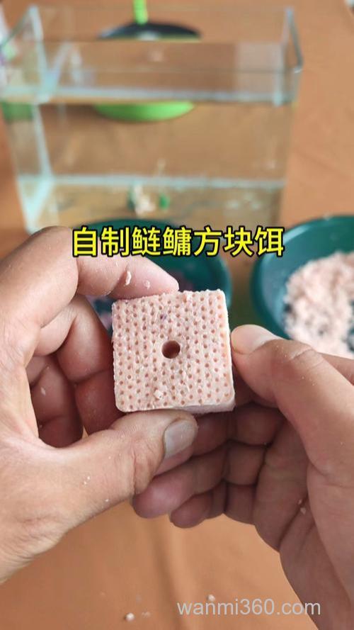 自制方块饵如何晒干？