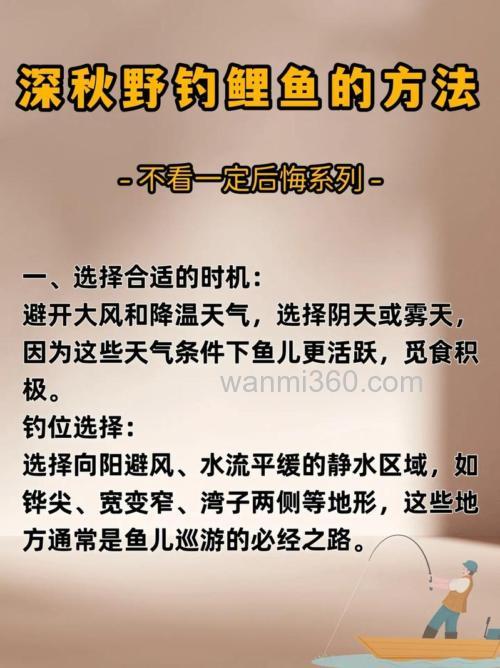 如何野钓鲤鱼的技巧