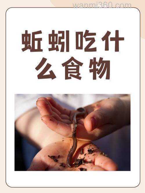 蚯蚓能做什么?