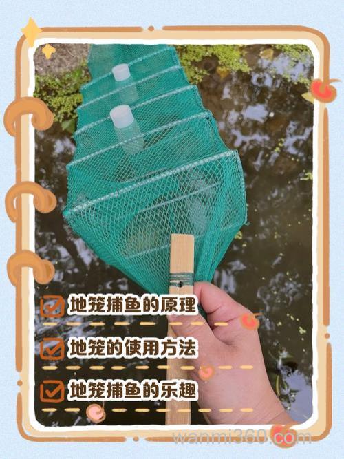 用什么饵料下地笼捕鲤鱼最好？