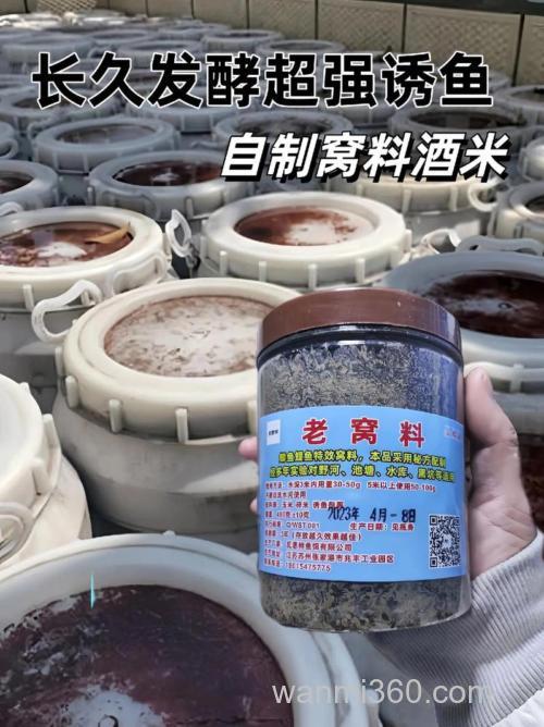 自制打窝酒米的制作配方分享