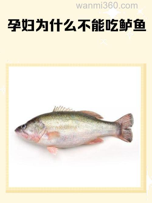 有讯号却不上鱼？？难道不是鱼在吃？