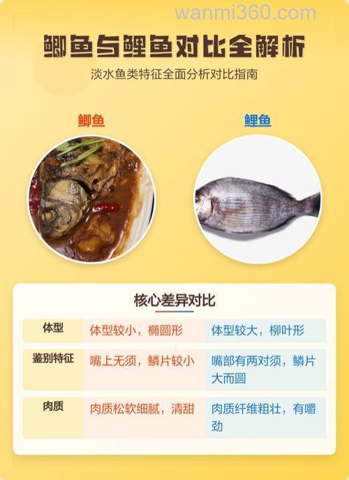 鲫鱼和鲤鱼营养价值的不同?
