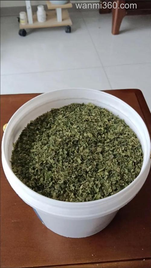 藻粉钓鱼效果怎么样？