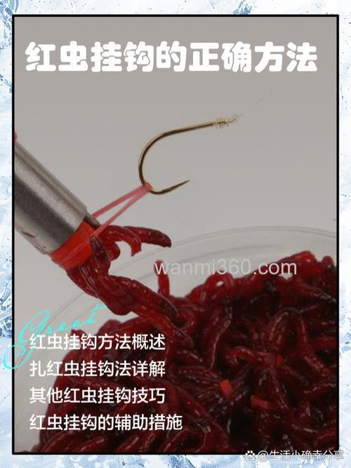 这种挂红虫方法简单快捷又高效
