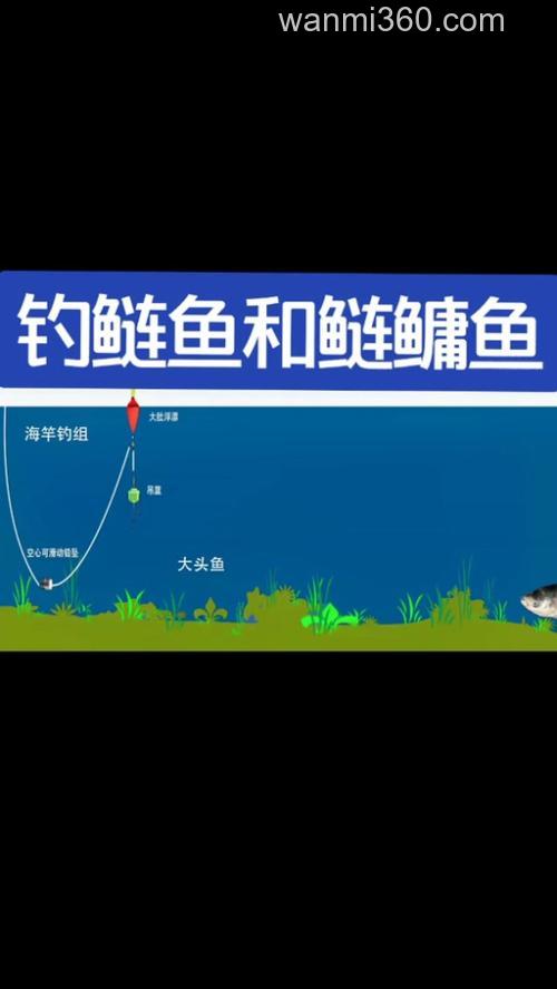 白鲢鱼怎么个钓法