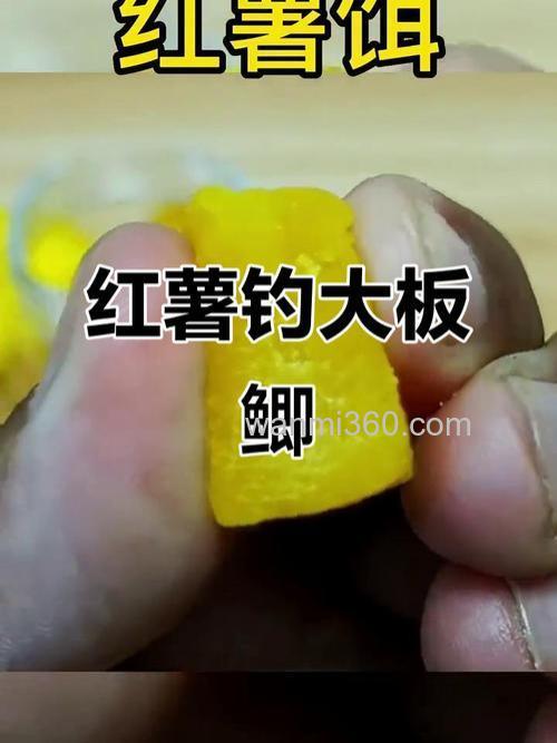 红薯条钓鱼的正确方法？