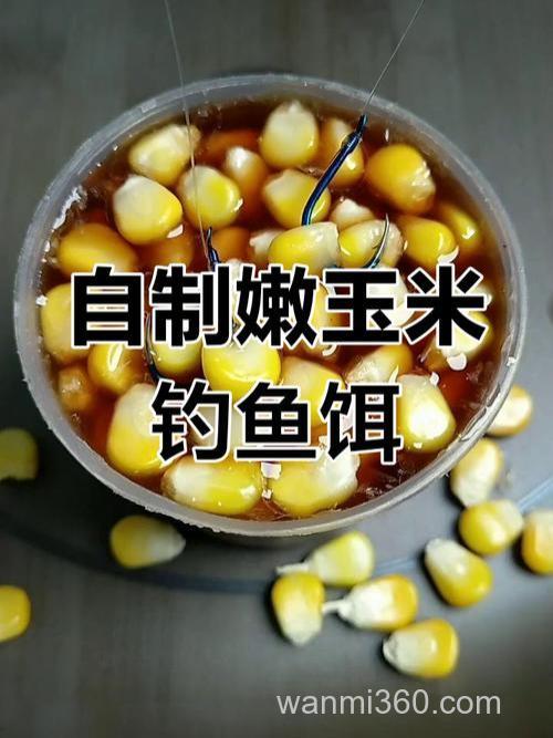 我用玉米粒做钓鱼饵料,对草鱼和鲤鱼效果好