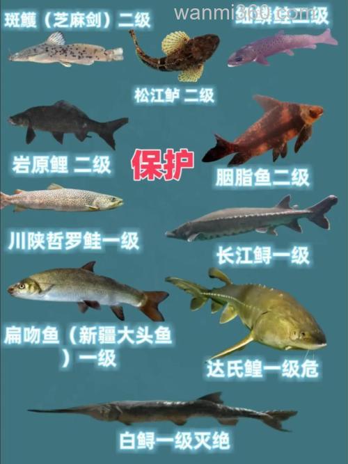 十大牢底坐穿鱼有哪些？