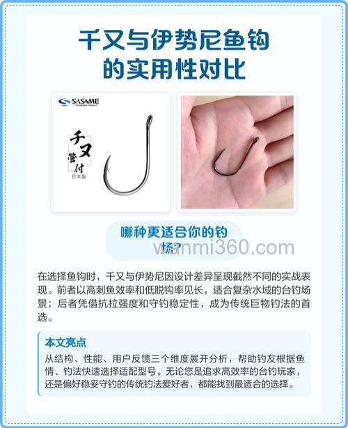 伊势尼钩、千又钩、新关东钩、小矶钩,什么钩型钓鲢鳙最好?