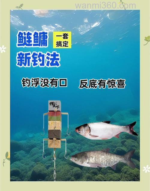 遇到退水时为什么就钓不到鱼了?但鲢鳙恰巧相反