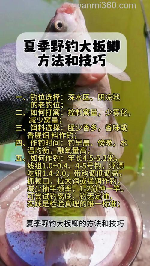 中午钓鱼怎么才能钓到?