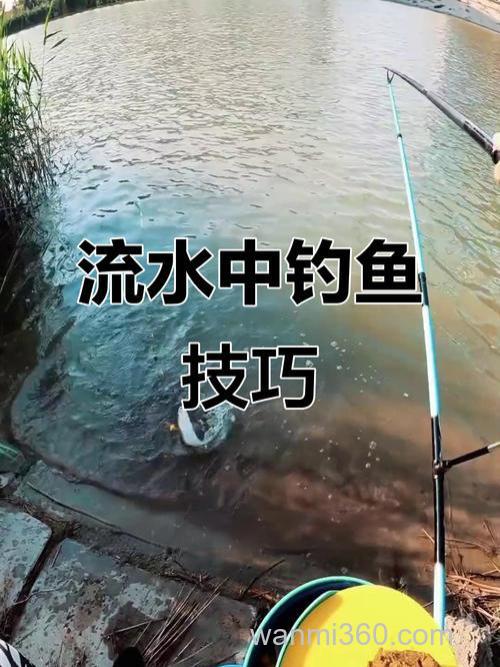 赤眼鳟的垂钓方法是什么?