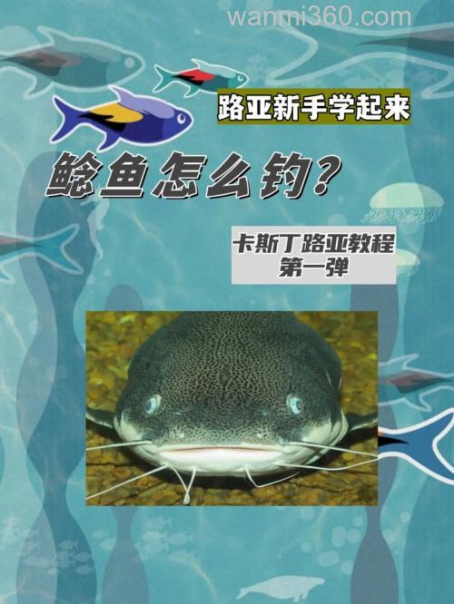 路亚怎样钓鲶鱼