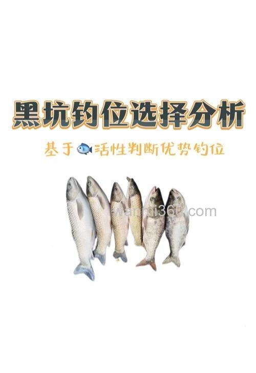 黑坑钓罗非钓具搭配全攻略