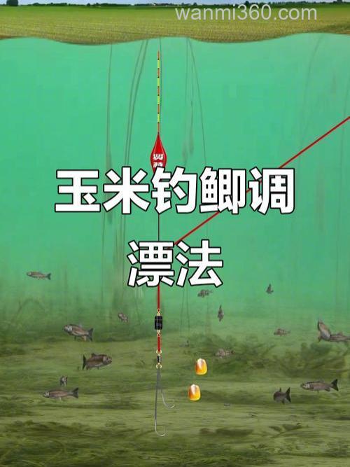 用玉米钓鲫鱼怎么调漂?