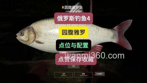 俄罗斯钓鱼小麦粒钓什么？