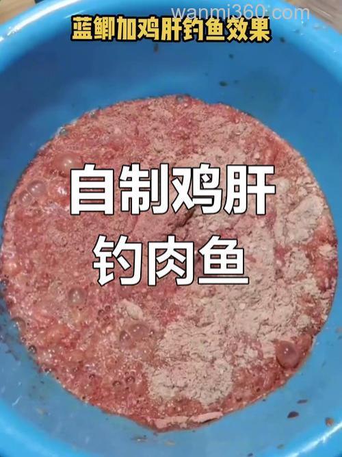 秋季钓鲫鱼用鸡肝可以吗?